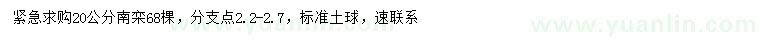 求購20公分南欒