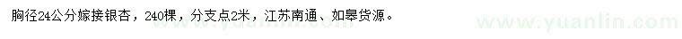求購胸徑24公分銀杏