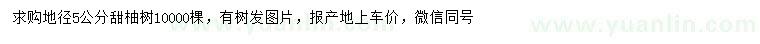 求購地徑5公分甜柚樹
