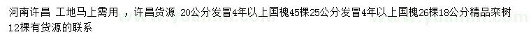 求購20、25公分以上國槐、18公分精品欒樹(shù)