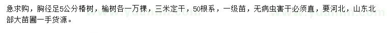 求購胸徑足5公分椿樹、榆樹