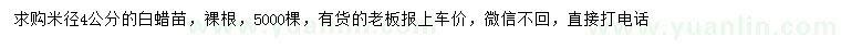 求購(gòu)米徑4公分白蠟苗