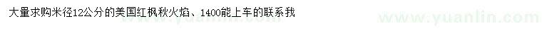 求購(gòu)米徑12公分美國(guó)紅楓秋火焰