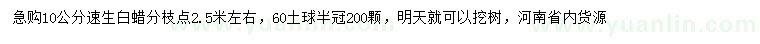 求購10公分速生白蠟