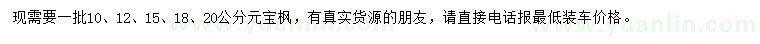 求購10、12、15、18、20公分元寶楓