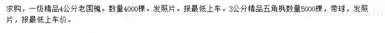 求購4公分精品老國槐、3公分精品五角楓