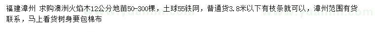 求購12公分澳洲火焰木