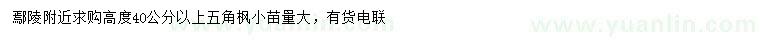 求購高度40公分以上五角楓