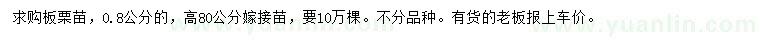 求購0.8公分板栗苗