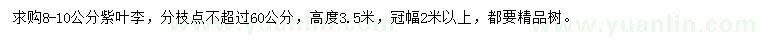 求購8-10公分紫葉李