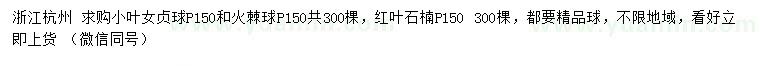 求購小葉女貞球、火棘球、紅葉石楠