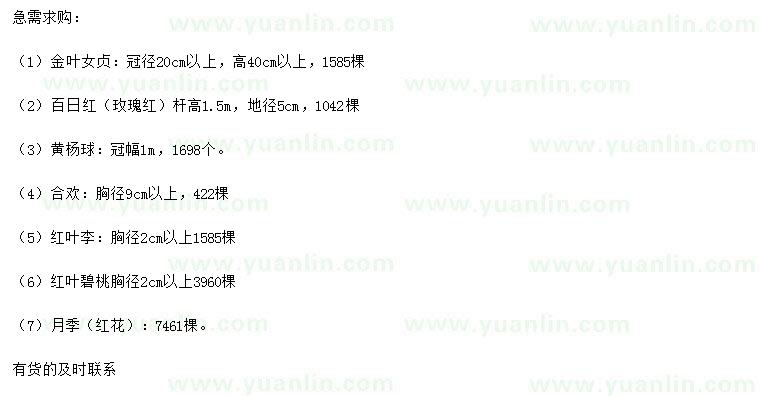 求購金葉女貞、百日紅、黃楊球等