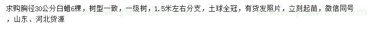 求購(gòu)胸徑30公分白蠟
