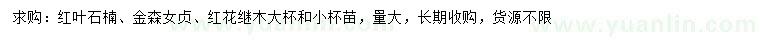 求購紅葉石楠、金森女貞、紅花繼木