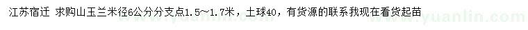 求購米徑6公分山玉蘭