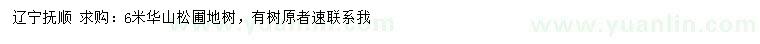 求購6米華山松