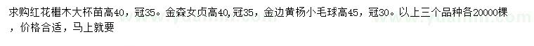 求購紅花繼木、金森女貞、金邊黃楊小毛球