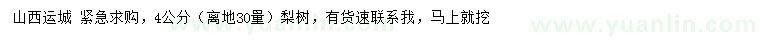 求購(gòu)離地30量4公分梨樹