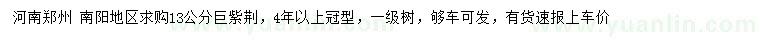 求購13公分巨紫荊