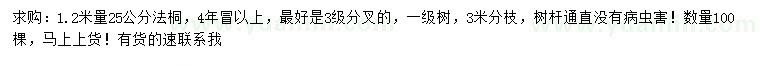 求購1.2米量25公分法桐