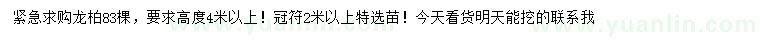 求購(gòu)高度4米以上龍柏