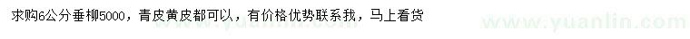 求購6公分垂柳