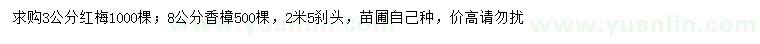 求購(gòu)3公分紅梅、8公分香樟