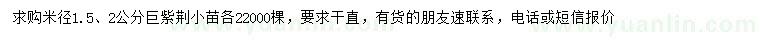 求購米徑1.5、2公分巨紫荊小苗