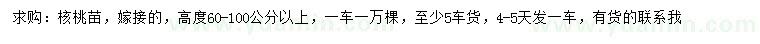 求購高60-100公分以上核桃苗