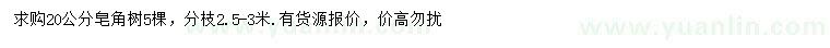 求購20公分皂角樹