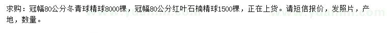 求購(gòu)冠幅80公分冬青球、紅葉石楠球