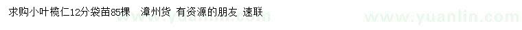 求購12公分小葉欖仁