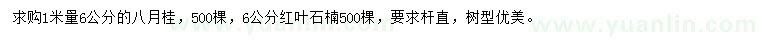 求購1米量6公分八月桂、6公分紅葉石楠