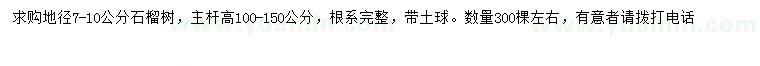 求購地徑7-10公分石榴樹