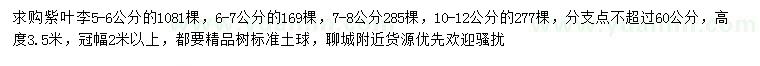 求購5-6、6-7、7-8、10-12公分紫葉李