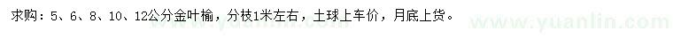 求購5、6、8、10、12公分金葉榆