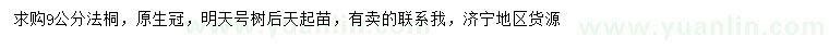 求購9公分法桐