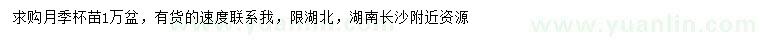 求購(gòu)月季杯苗