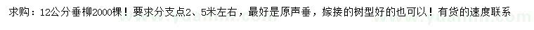 求購12公分垂柳