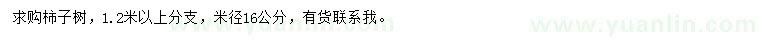 求購(gòu)米徑16公分柿子樹(shù)