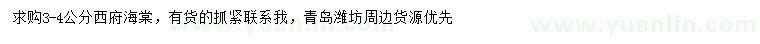 求購3-4公分西府海棠