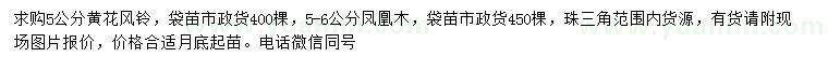求購5公分黃花風(fēng)鈴木、5-6公分鳳凰木