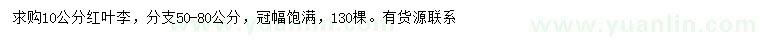 求購10公分紅葉李