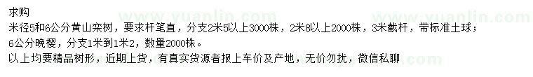 求購米徑5、6公分黃山欒樹、6公分晚櫻