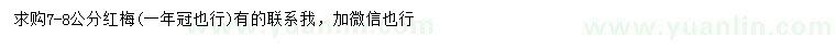 求購7-8公分紅梅