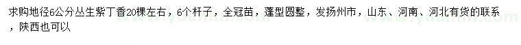 求購(gòu)地徑6公分叢生紫丁香