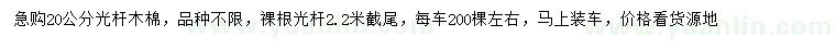 求購(gòu)20公分光桿木棉