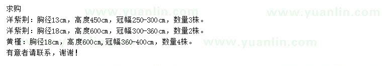 求購胸徑13、18公分洋紫荊、胸徑18公分黃槿