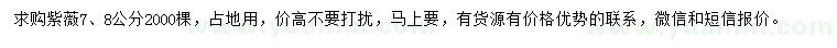 求購7、8公分紫薇