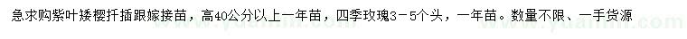 求購高40公分以上紫葉矮櫻、四季玫瑰